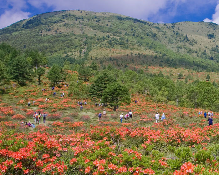 בית מלון כפרי Kyukamura Tsumagoi Kazawa
