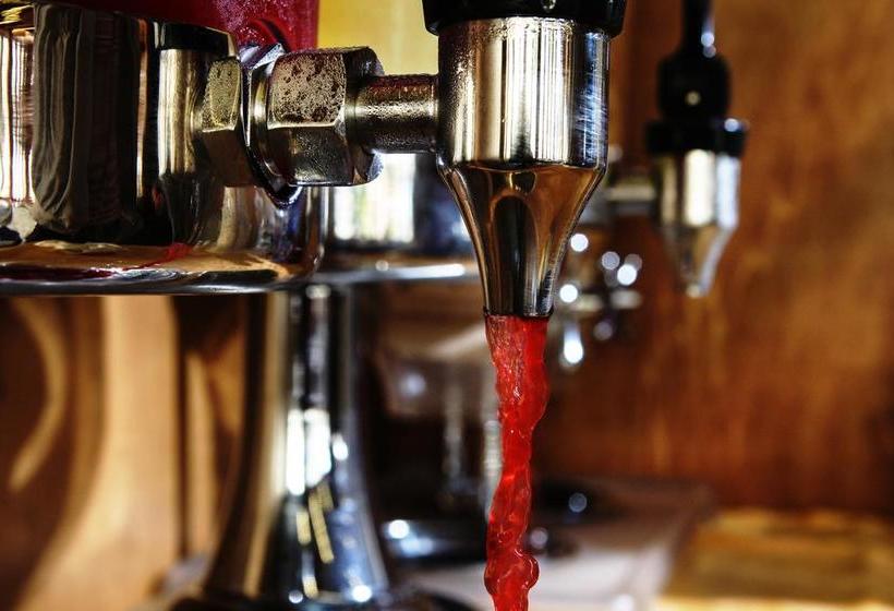 בית מלון כפרי Max