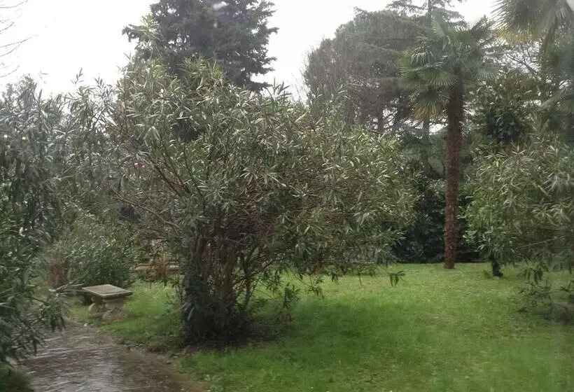 בית מלון כפרי Park