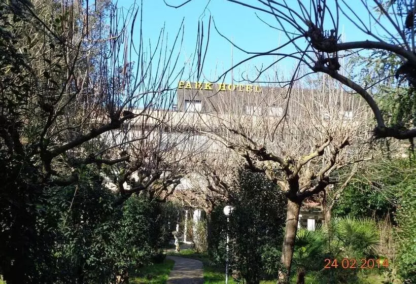 בית מלון כפרי Park