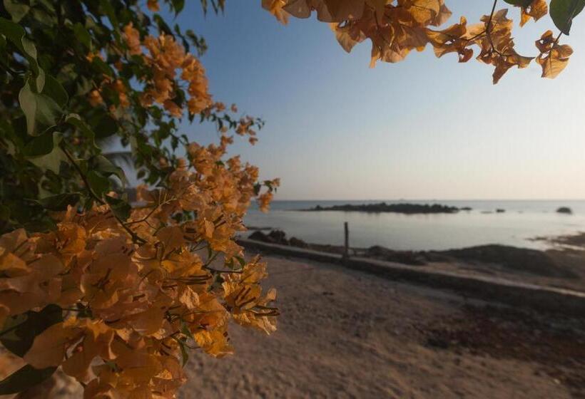 Hotel Zama Resort Koh Phangan