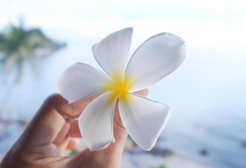 Hotel Zama Resort Koh Phangan