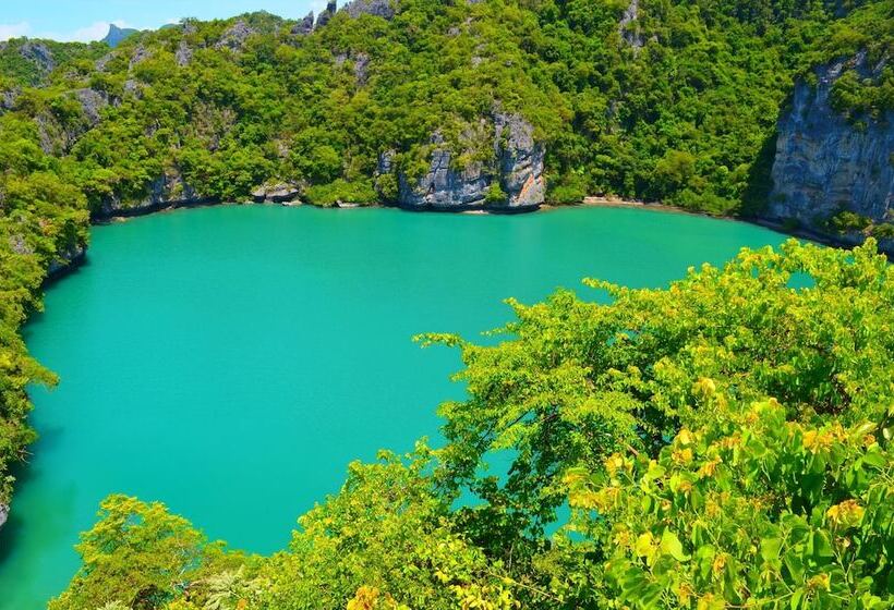 Shiralea Backpackers Resort