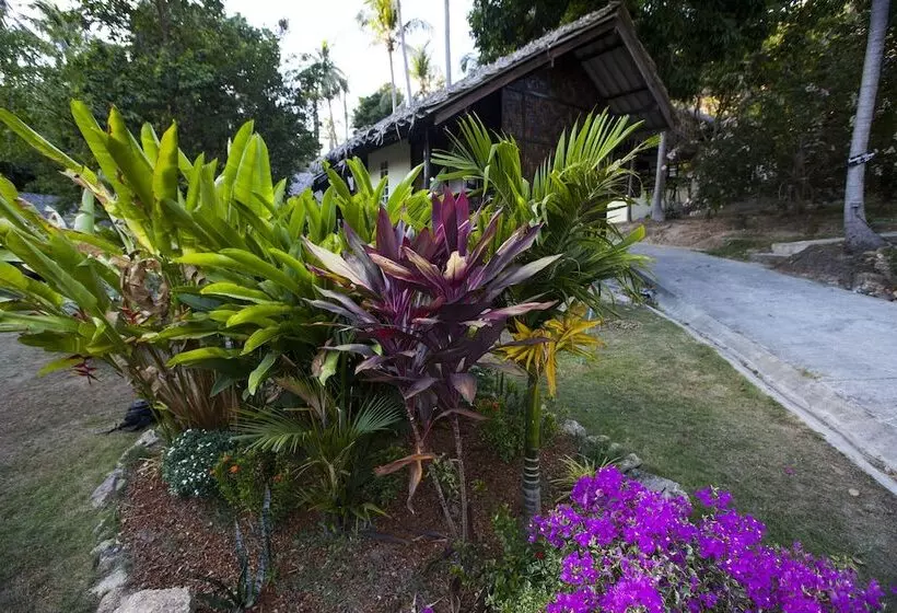 Shiralea Backpackers Resort