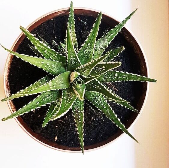 Warsaw Downtown Hostel