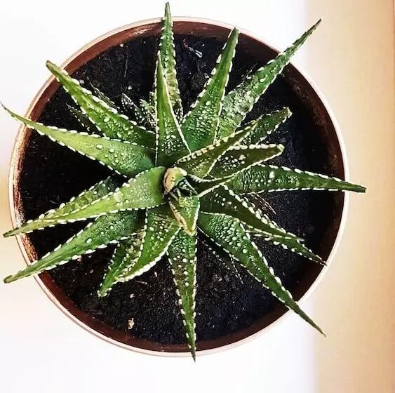 Warsaw Downtown Hostel