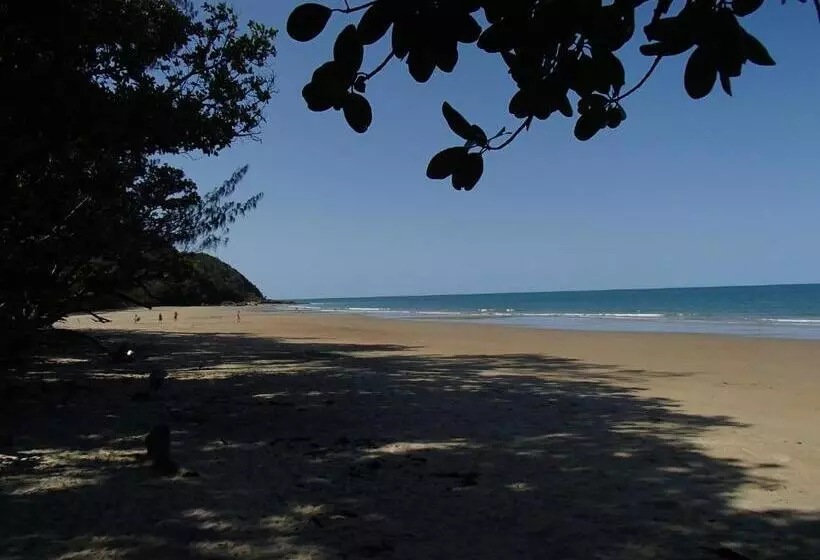 Общежитие Daintree Crocodylus