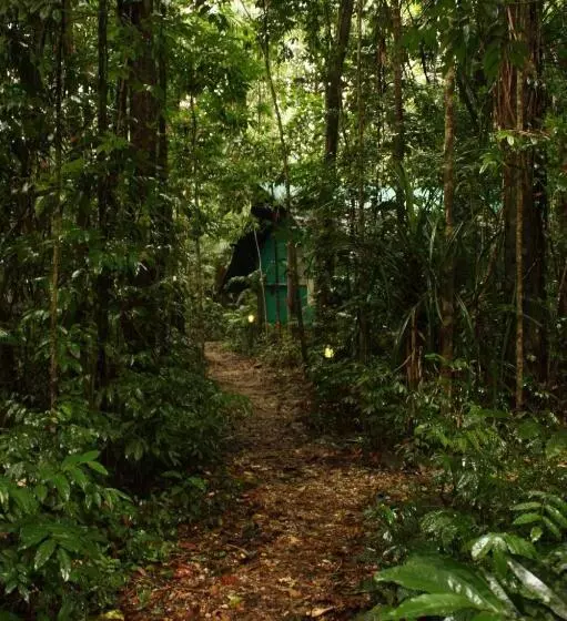 Общежитие Daintree Crocodylus