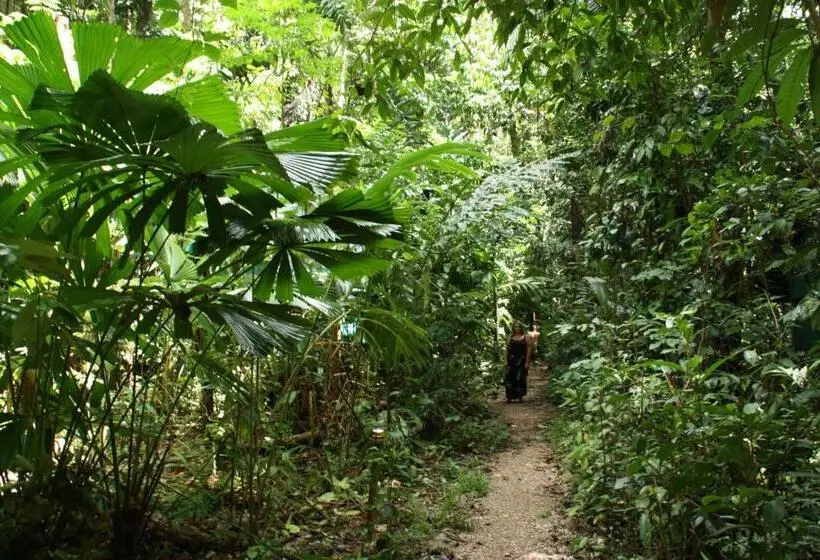 Общежитие Daintree Crocodylus