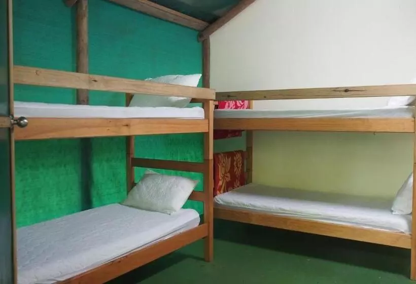 Общежитие Daintree Crocodylus