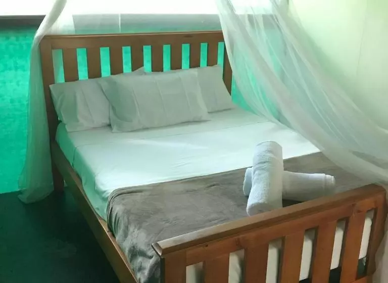 Общежитие Daintree Crocodylus