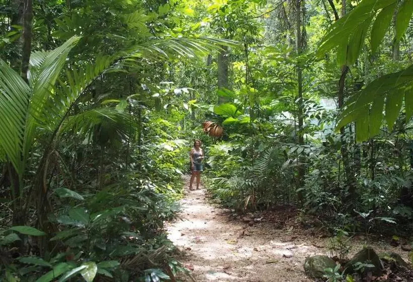 Общежитие Daintree Crocodylus