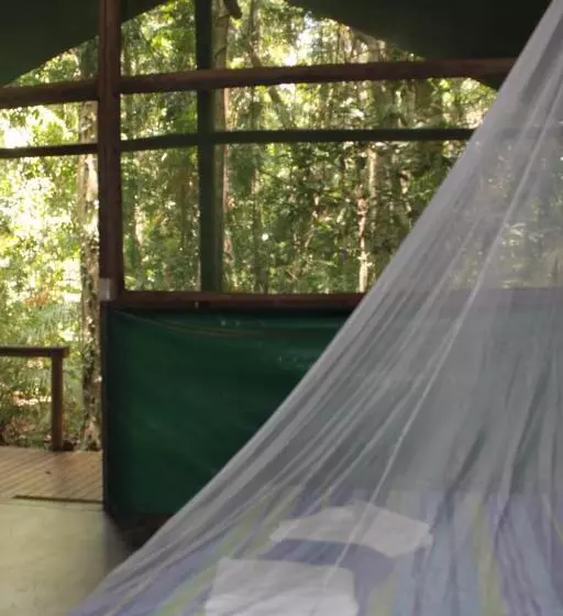 Общежитие Daintree Crocodylus