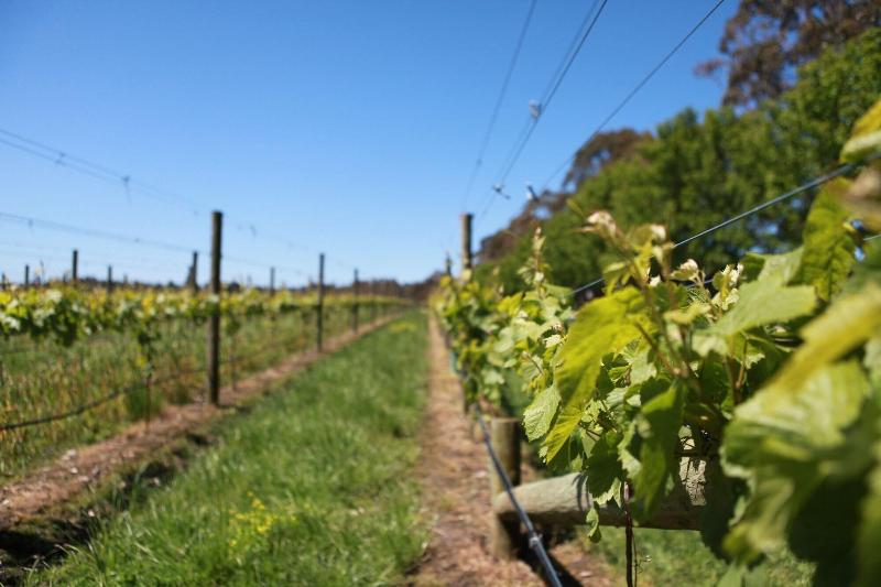 Bay Motel Safety Beach