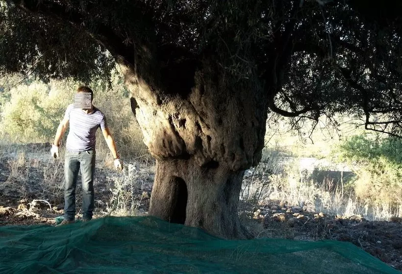 호텔 Il Vecchio Frantoio