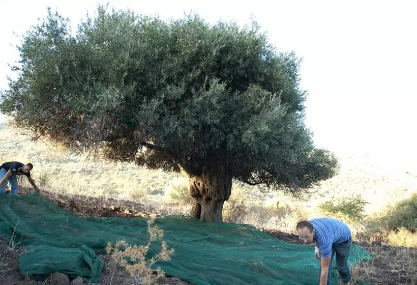 호텔 Il Vecchio Frantoio