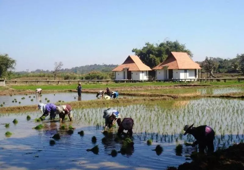 Hotel Manee Dheva Resort And Spa