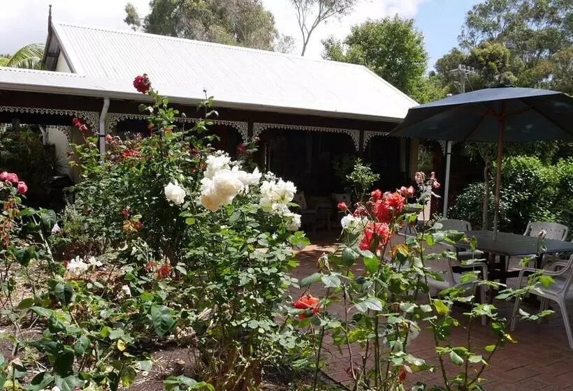 بنسيون The Noble Grape Guesthouse