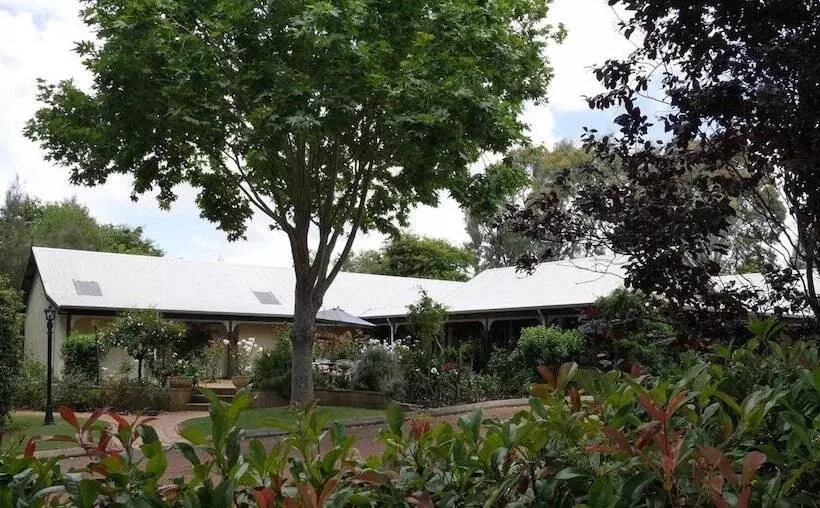 بنسيون The Noble Grape Guesthouse