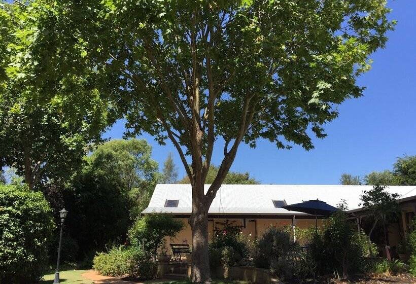 膳宿费 The Noble Grape Guesthouse