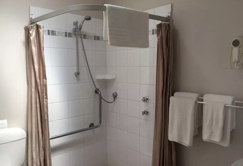 بنسيون The Noble Grape Guesthouse