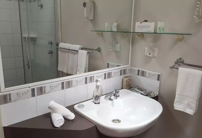 بنسيون The Noble Grape Guesthouse