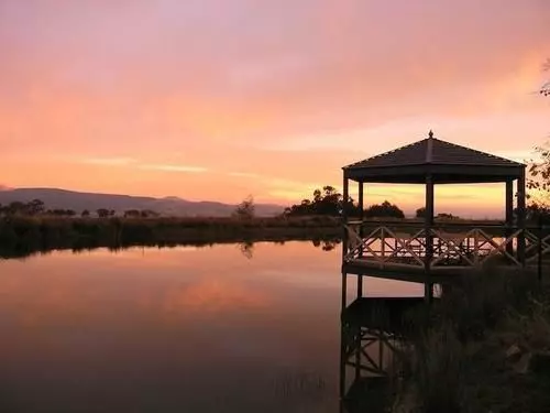 Wombat Hills Cottages