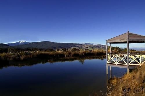 Wombat Hills Cottages