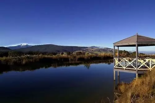 Wombat Hills Cottages
