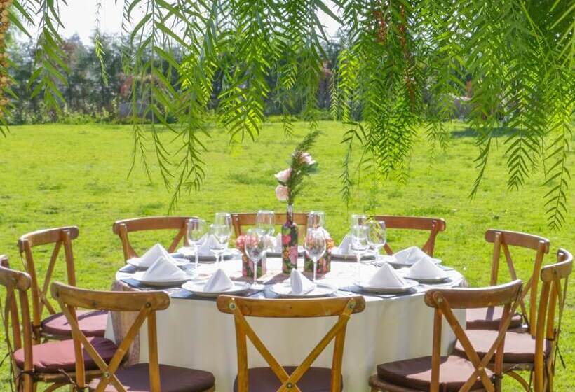 Alesia   Boutique Hotel & Spa