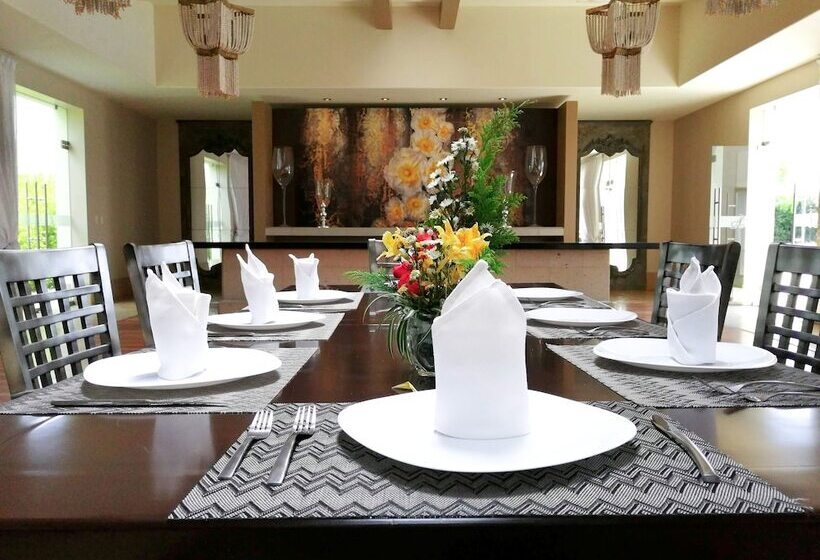 Alesia   Boutique Hotel & Spa