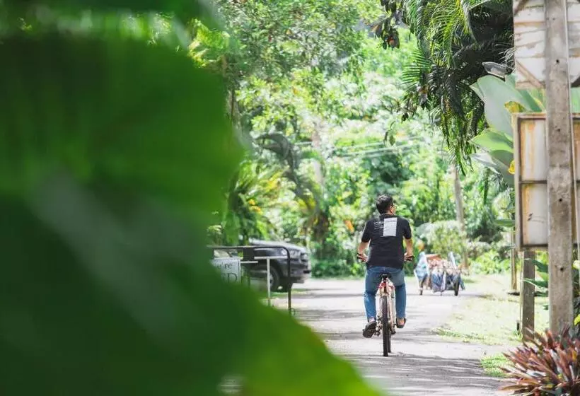 Blu Monkey Pooltara Krabi Hotel & Villas Pet Friendly