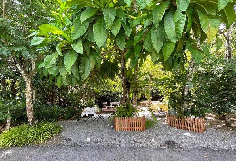 Blu Monkey Pooltara Krabi Hotel & Villas Pet Friendly