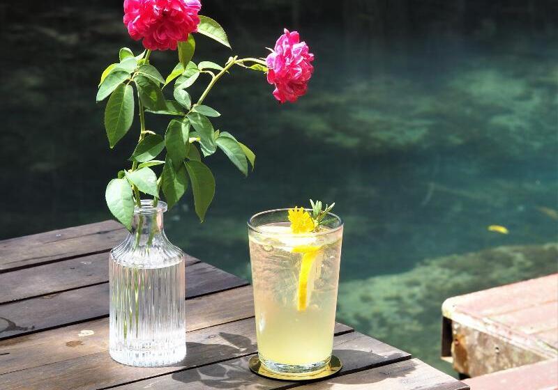 Blu Monkey Pooltara Krabi Hotel & Villas Pet Friendly