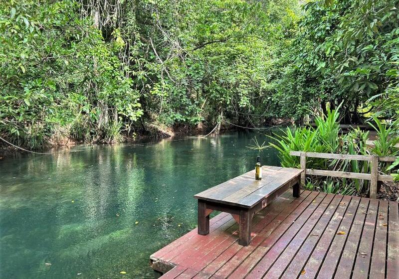 Blu Monkey Pooltara Krabi Hotel & Villas Pet Friendly