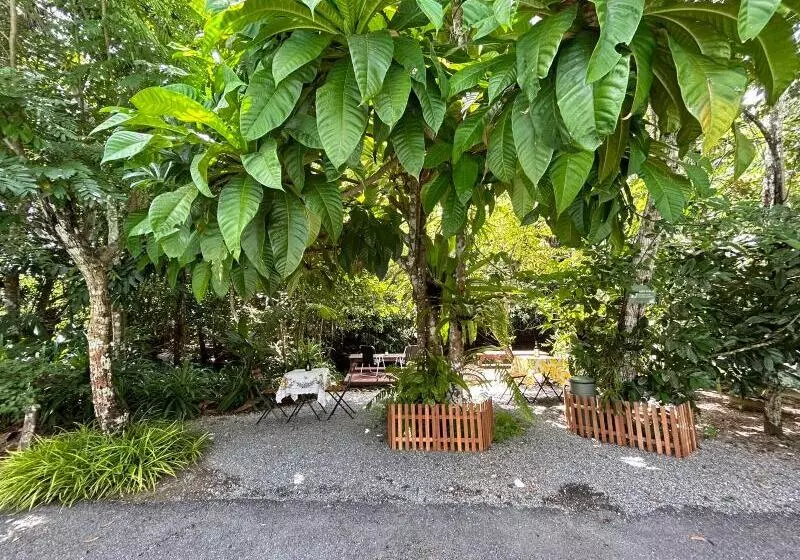 Blu Monkey Pooltara Krabi Hotel & Villas Pet Friendly