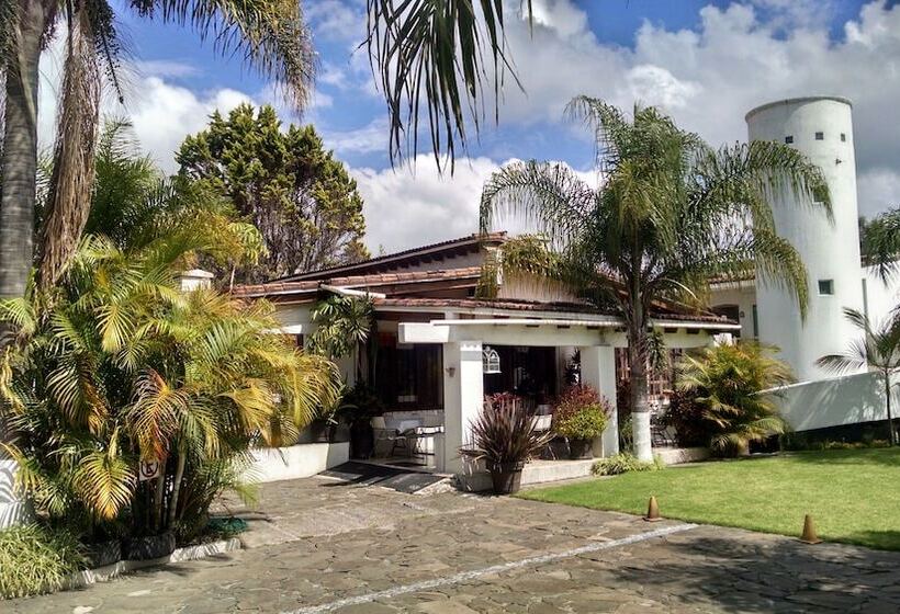 酒店 Boutique D Paola