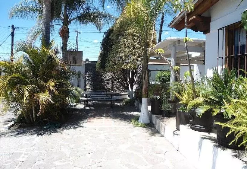 Отель Boutique D Paola