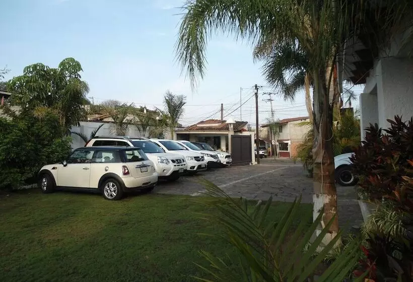 Отель Boutique D Paola