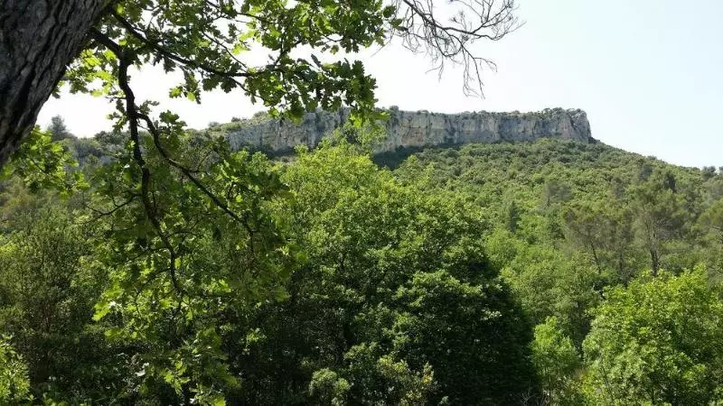 호텔 Ibis Budget Saintmaximin