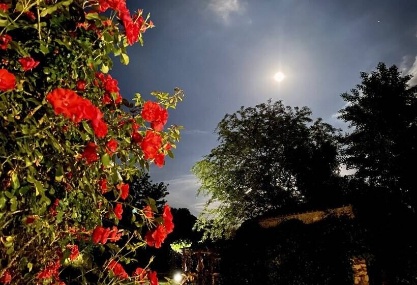 酒店 Mas Carreras 1846