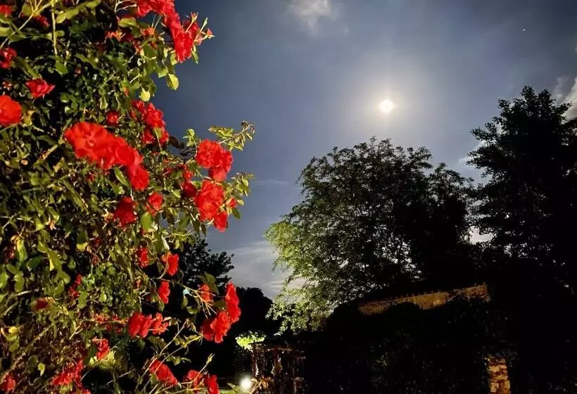 ホテル Mas Carreras 1846