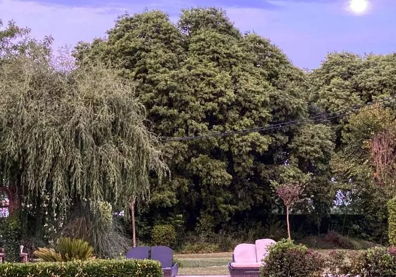 ホテル Mas Carreras 1846