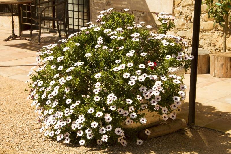 酒店 Mas Carreras 1846