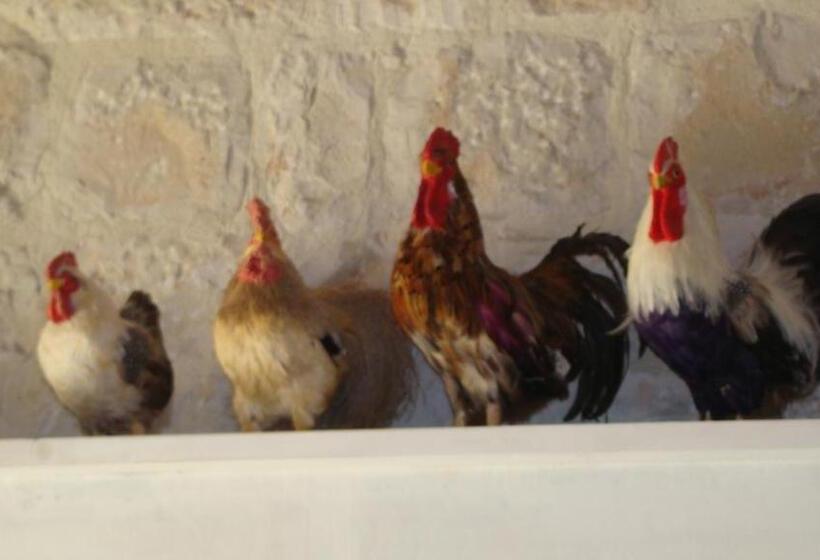 ホテル Masseria Cianciò