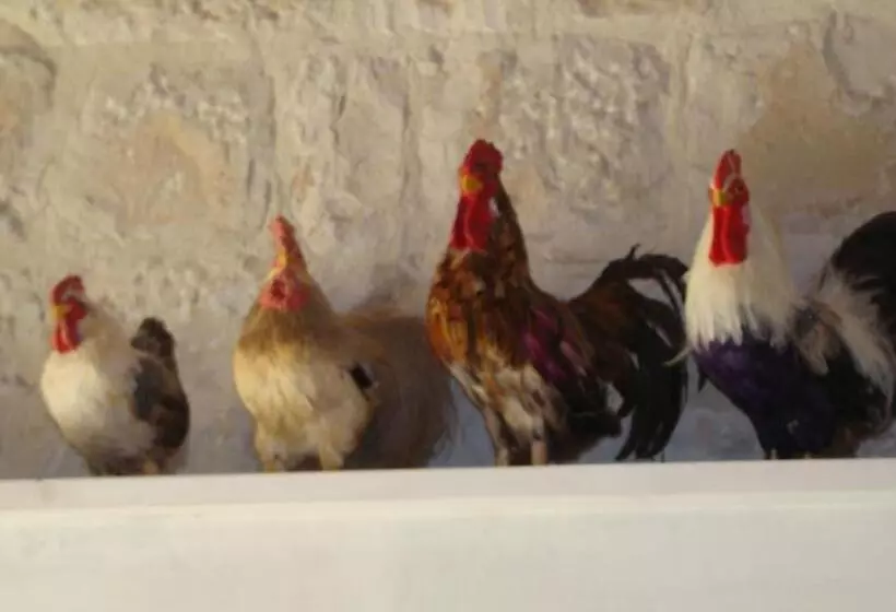 هتل Masseria Cianciò