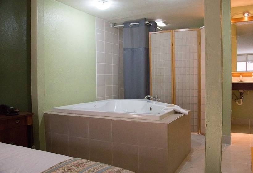 汽车旅馆 Cocomo Inn And Suites