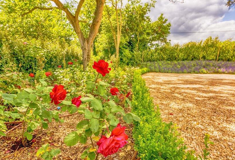 بنسيون Whitley Coach House