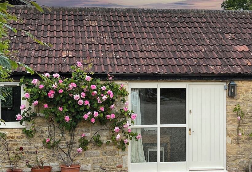 بنسيون Whitley Coach House