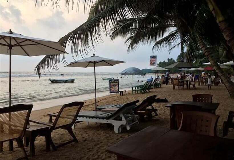 ホテル Coconut Bar Sea Lodge